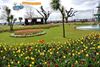 Torquay Seafront Park