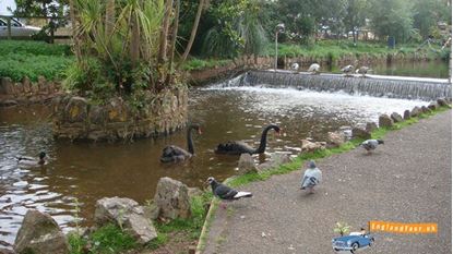 Dawlish
